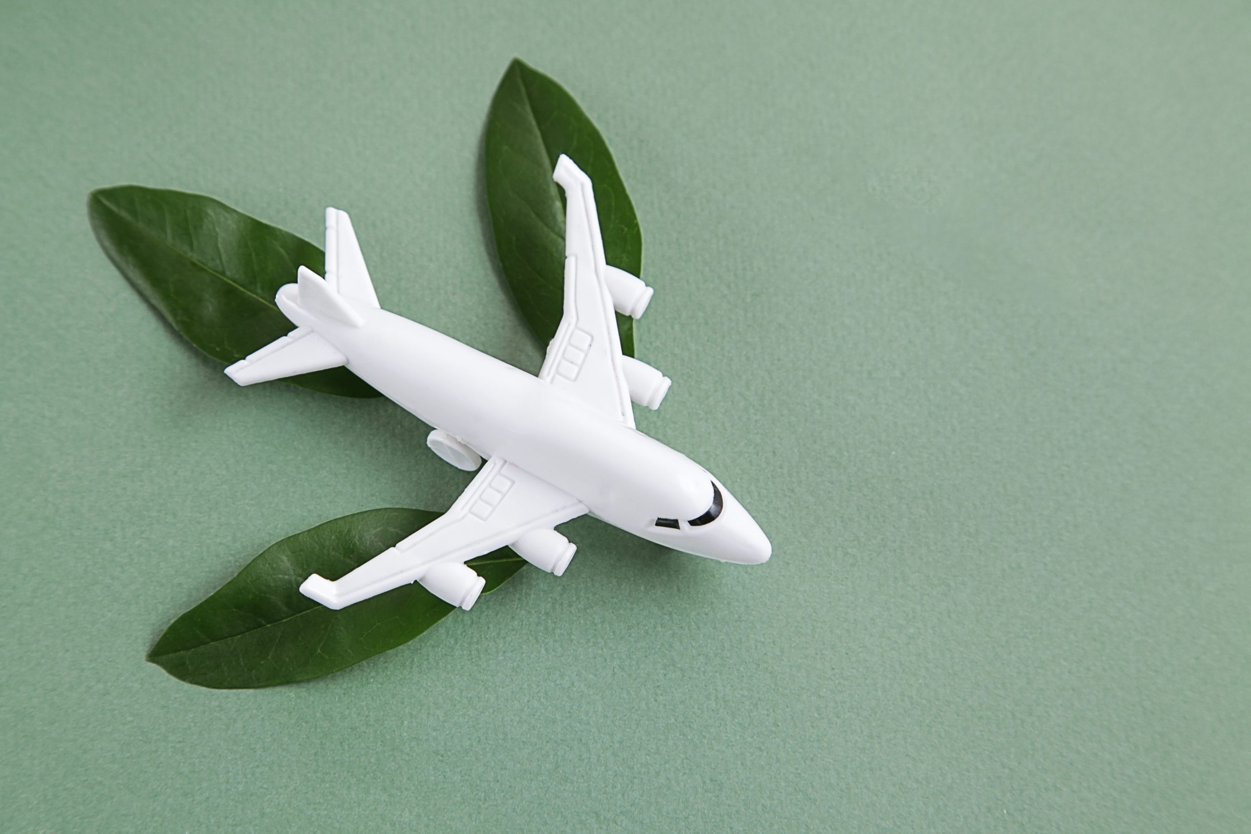 Scopri di più sull'articolo Ecojet: dal 2024 si potrà viaggiare su aerei completamente elettrici