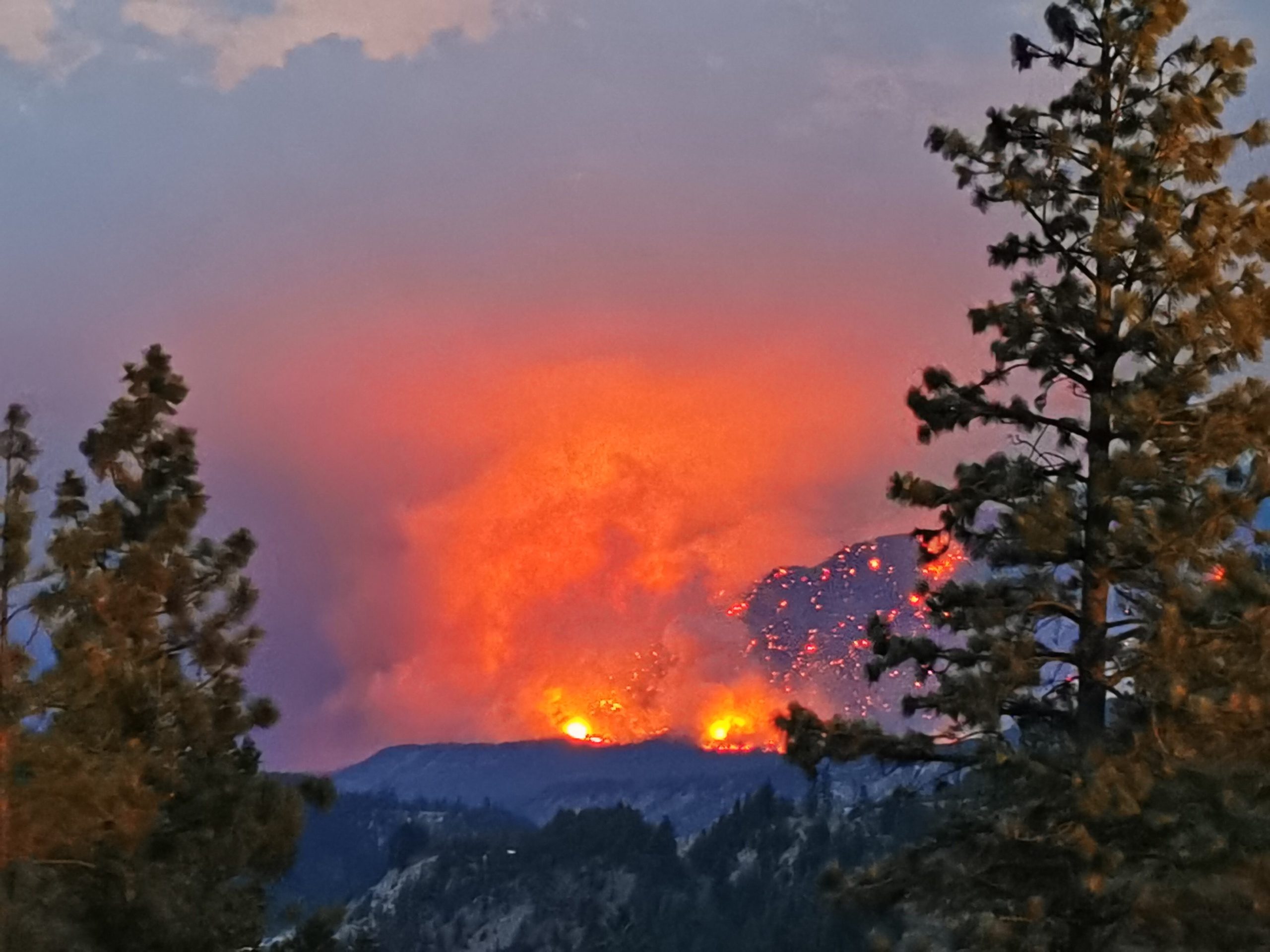 Scopri di più sull'articolo Le ondate di calore sono il risultato della crisi climatica e potrebbero verificarsi sempre più costantemente