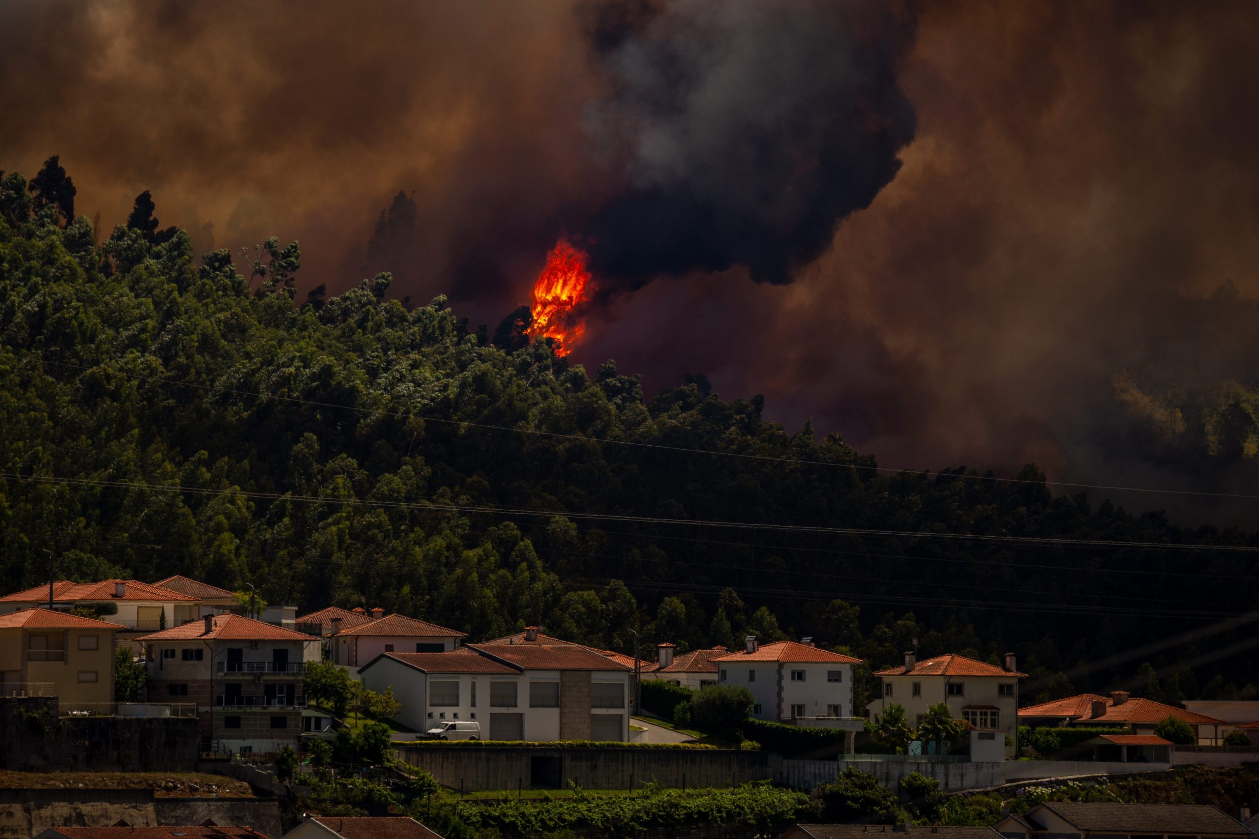 Scopri di più sull'articolo Fiamme e incendi sulla montagna di Capo Gallo a Palermo: chiuso l’aeroporto e voli cancellati