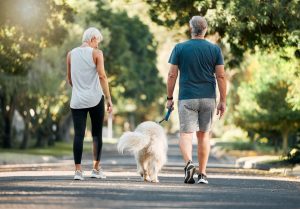 Scopri di più sull'articolo 7 consigli per portare a spasso il cane con il caldo: proteggilo durante le passeggiate