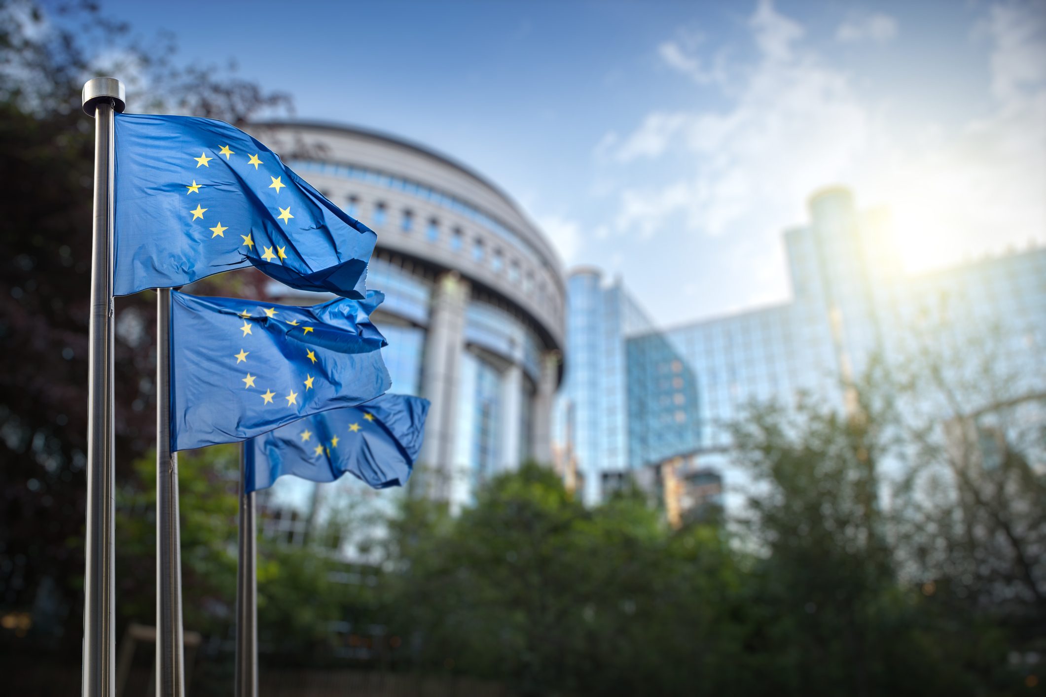 Scopri di più sull'articolo La Nature Restoration Law è legge, via libera del Parlamento europeo per il ripristino della natura