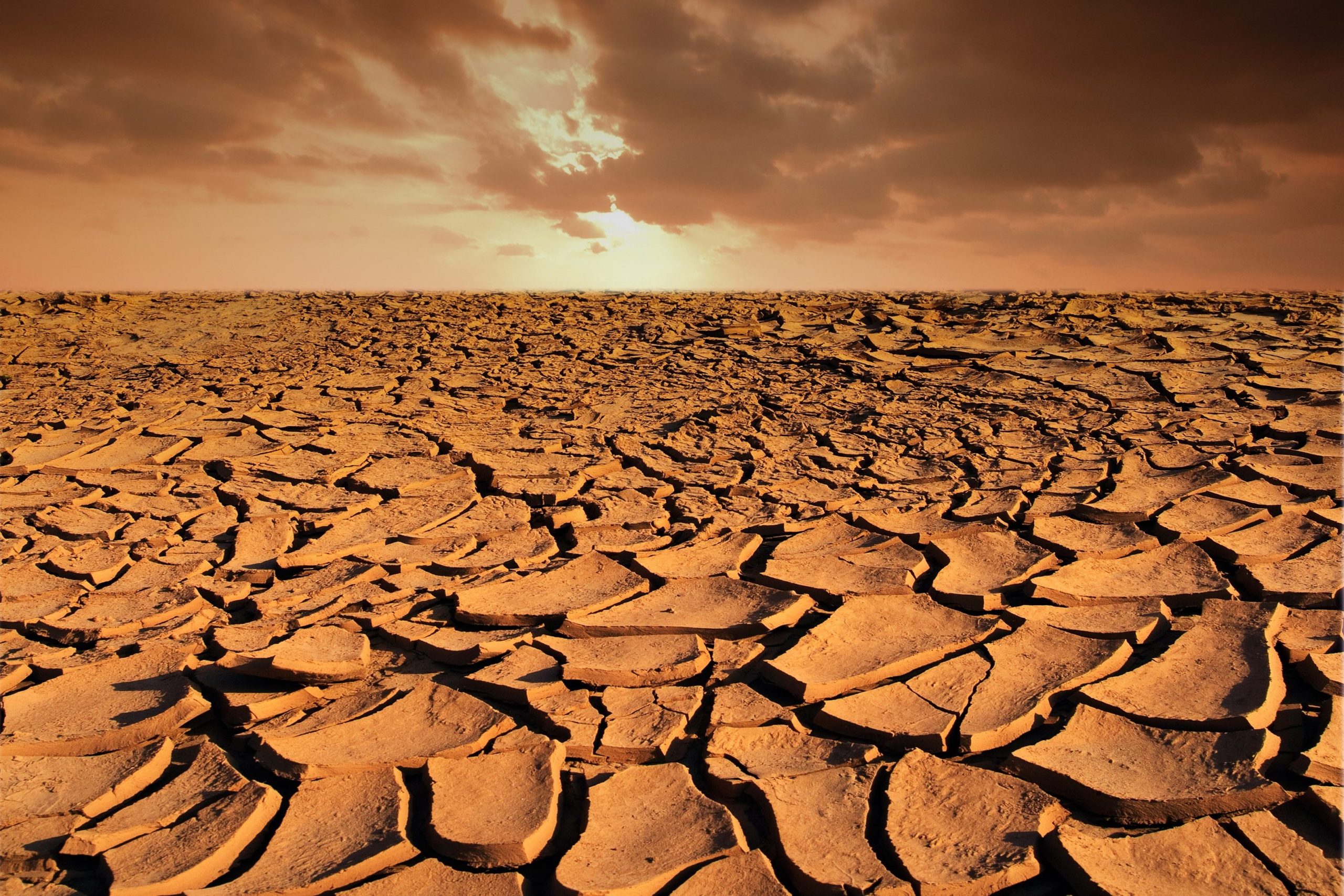Scopri di più sull'articolo Anche il suolo si scalda: cosa sono le isole di calore sotterranee