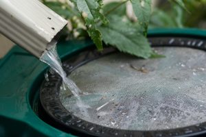 Scopri di più sull'articolo A Lens, in Francia, i recipienti per recuperare l’acqua piovana sono gratuiti: l’idea dell’amministrazione