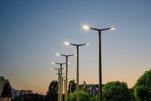 Scopri di più sull'articolo Piante urbane in hangover per le luci a Led: gli effetti dell’inquinamento luminoso sulla vegetazione