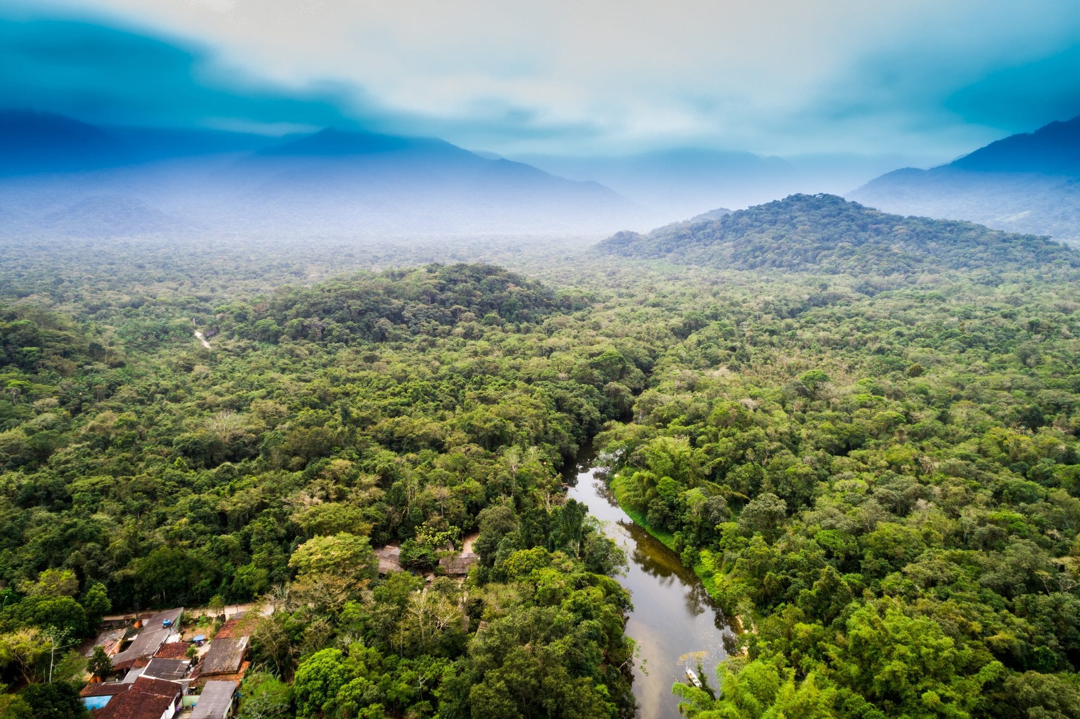 Scopri di più sull'articolo Cos’è successo al Summit per l’Amazzonia: tanto entusiasmo per risultati ancora troppo timidi