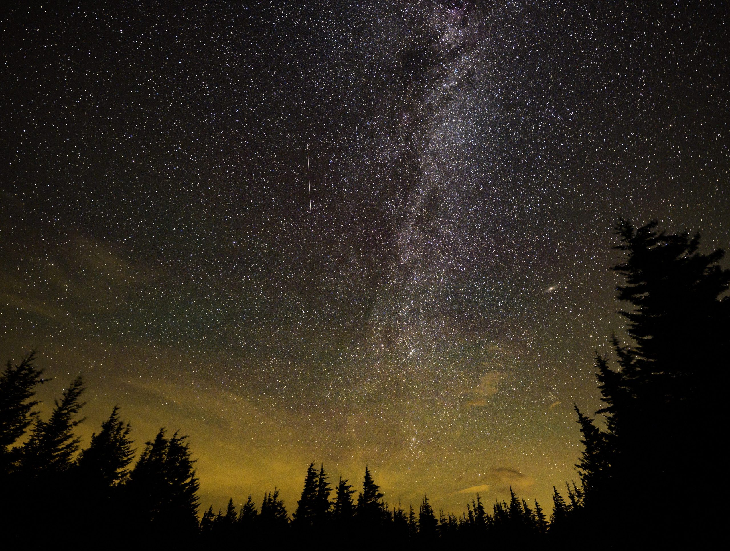 Scopri di più sull'articolo Altro che stelle cadenti, l’inquinamento luminoso sta minacciando la biodiversità della Terra