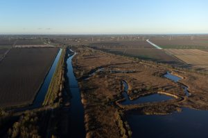 Scopri di più sull'articolo “Il Parco delta del Po è edificabile?” L’allarme degli ambientalisti per la messa all’asta e le considerazioni della Regione