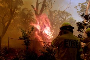 Scopri di più sull'articolo Il Parco dell’Appia Nuova in fiamme: sterpaglie e vento caldo tra le cause dell’incendio