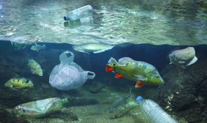 Scopri di più sull'articolo Nell’oceano c’è meno plastica del previsto, ma è una buona notizia solo in parte