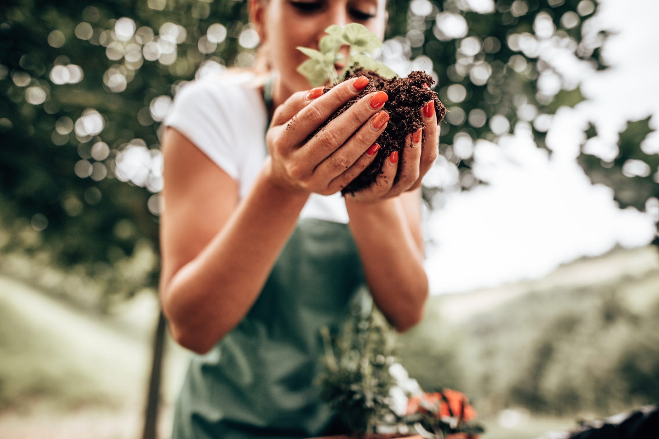 Scopri di più sull'articolo La semina di agosto: cosa piantare nell’orto e nel giardino, dai fiori annuali alle verdure per l’inverno