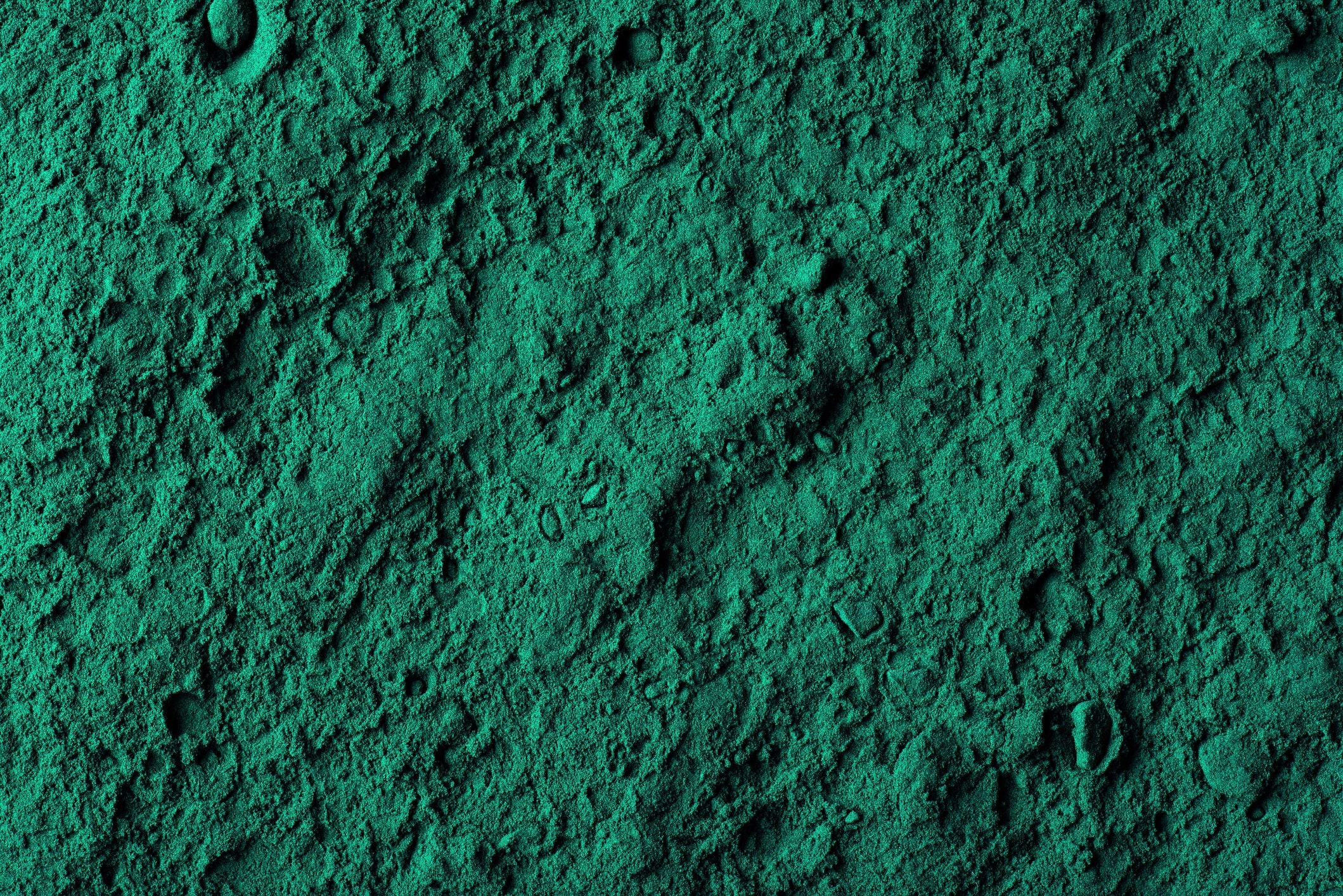Scopri di più sull'articolo La plastica biodegradabile del futuro verrà prodotta con la spirulina