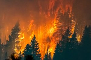 Scopri di più sull'articolo In Canada l’incubo degli incendi non si spegne: evacuati i 20mila abitanti di Yelloknife