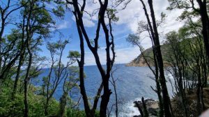 Scopri di più sull'articolo Vacanze ecosostenibili all’isola d’Elba: un paradiso verde da esplorare anche nell’entroterra