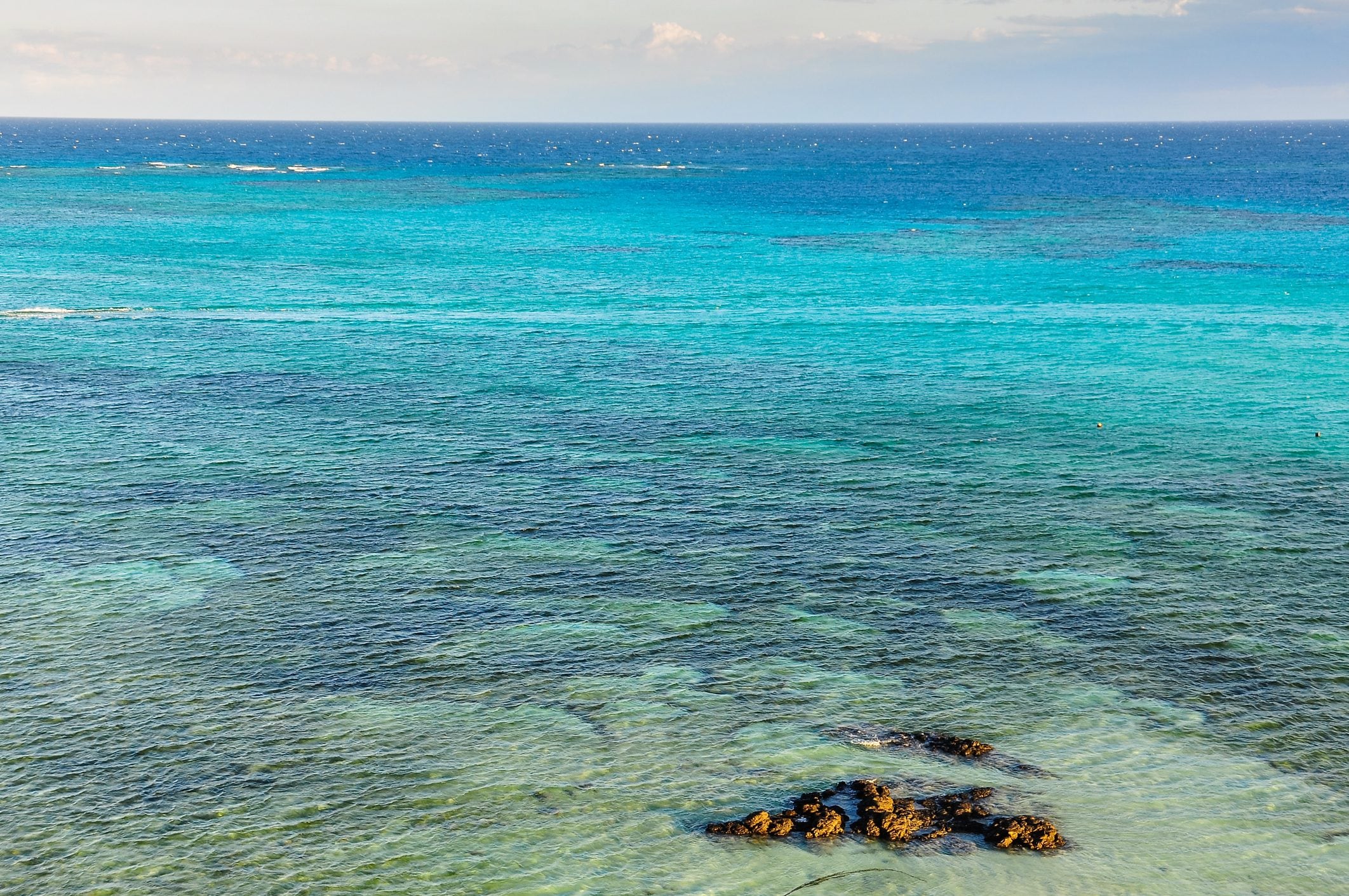 Scopri di più sull'articolo Le installazioni subacquee al largo delle Fiji che salvano i coralli dal cambiamento climatico