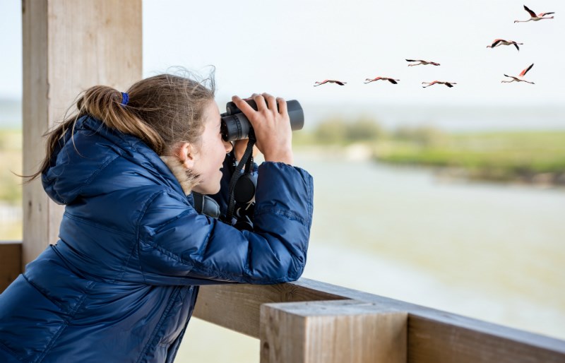 Scopri di più sull'articolo Vivere e osservare la natura: 5 attività per scoprirla da vicino