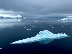Scopri di più sull'articolo Nell’Oceano Antartico è stato scoperto un nuovo invertebrato a metà tra un alieno e una fragola