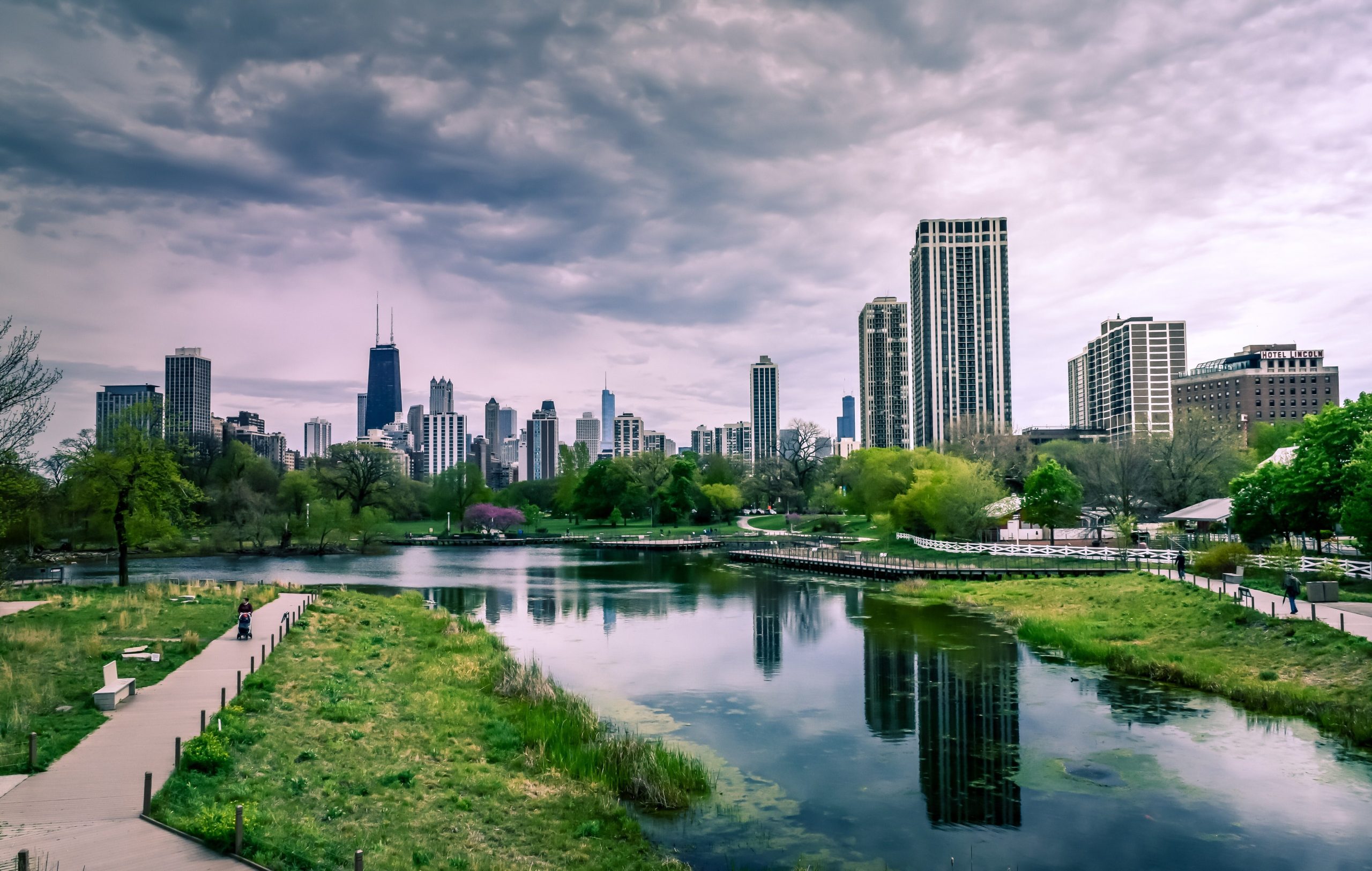 Scopri di più sull'articolo C’è biodiversità in città?