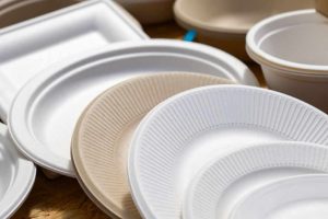 Scopri di più sull'articolo Piatti compostabili monouso: un’alternativa green alla plastica per ridurre l’impronta ambientale (partendo dalle nostre tavole)