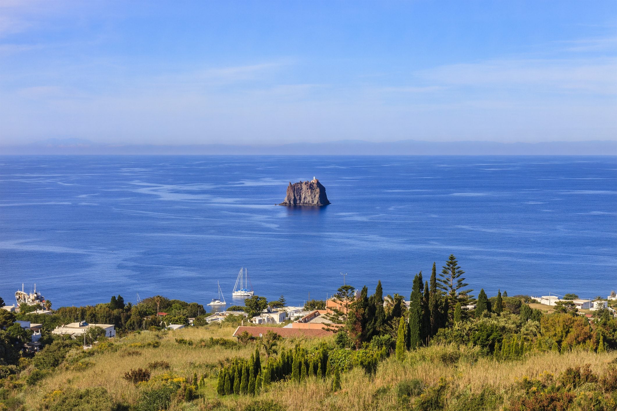 Scopri di più sull'articolo Al via il progetto Eolizard per preservare l’esistenza della lucertola delle Eolie
