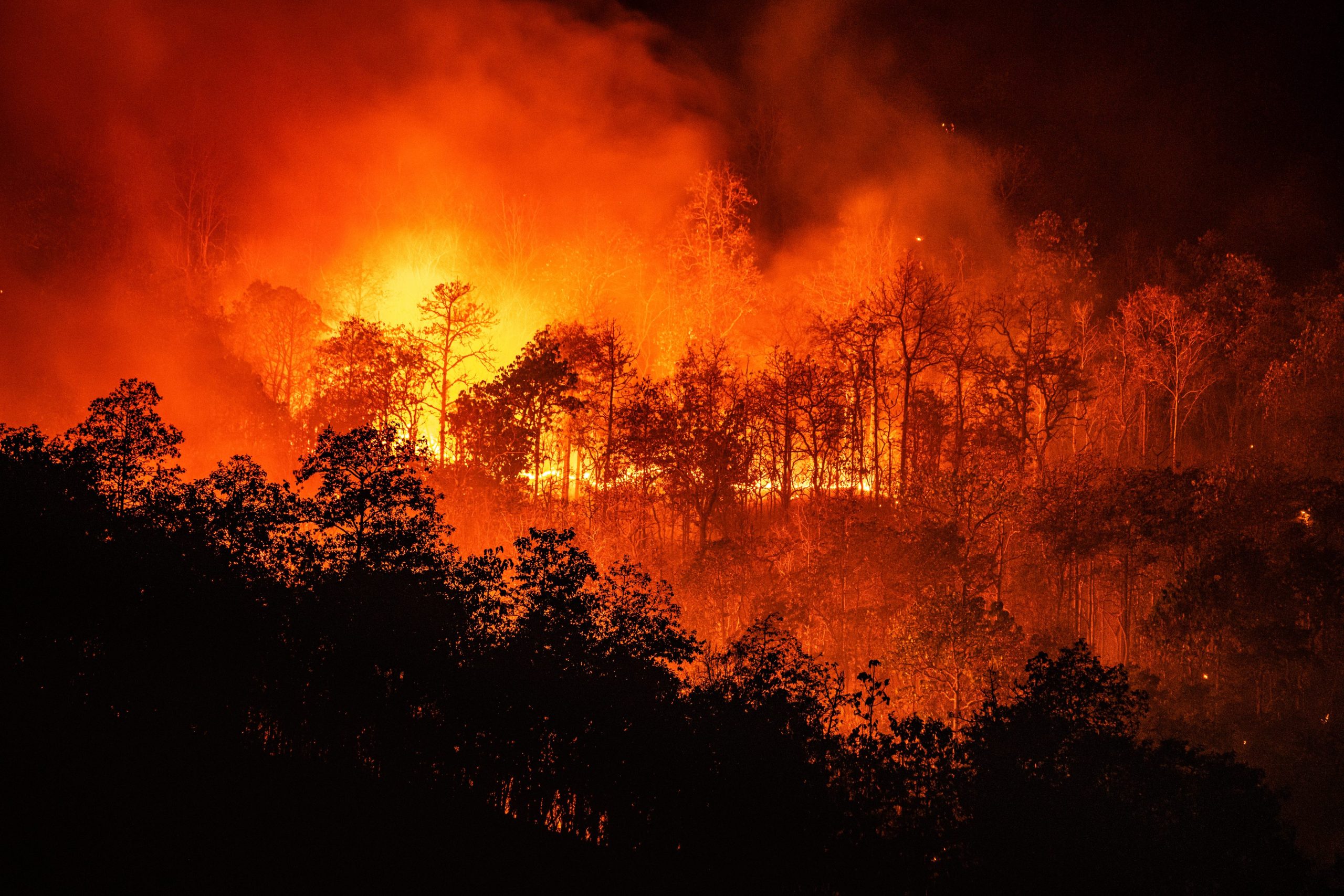 Scopri di più sull'articolo Un deodorante d’auto che odora di legno bruciato per sensibilizzare contro gli incendi boschivi