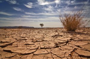 Scopri di più sull'articolo Estrarre acqua dall’aria che respiriamo: e se fosse la nuova potenziale soluzione contro la siccità?