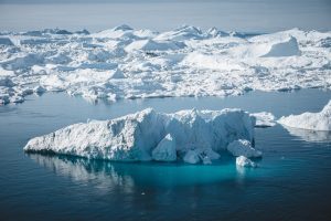 Scopri di più sull'articolo A causa dello scioglimento dei ghiacci nell’Artico gli animali rischiano di morire di fame