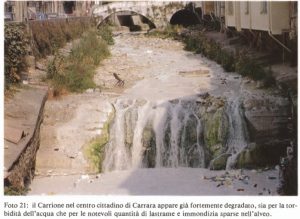 Scopri di più sull'articolo Nessun pericolo dalla marmettola? Legambiente Carrara risponde all’assessore Lorenzini