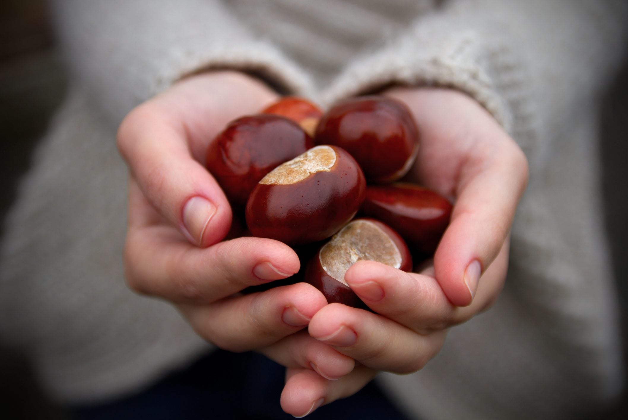 Scopri di più sull'articolo 3 modi per decorare le castagne raccolte nel bosco