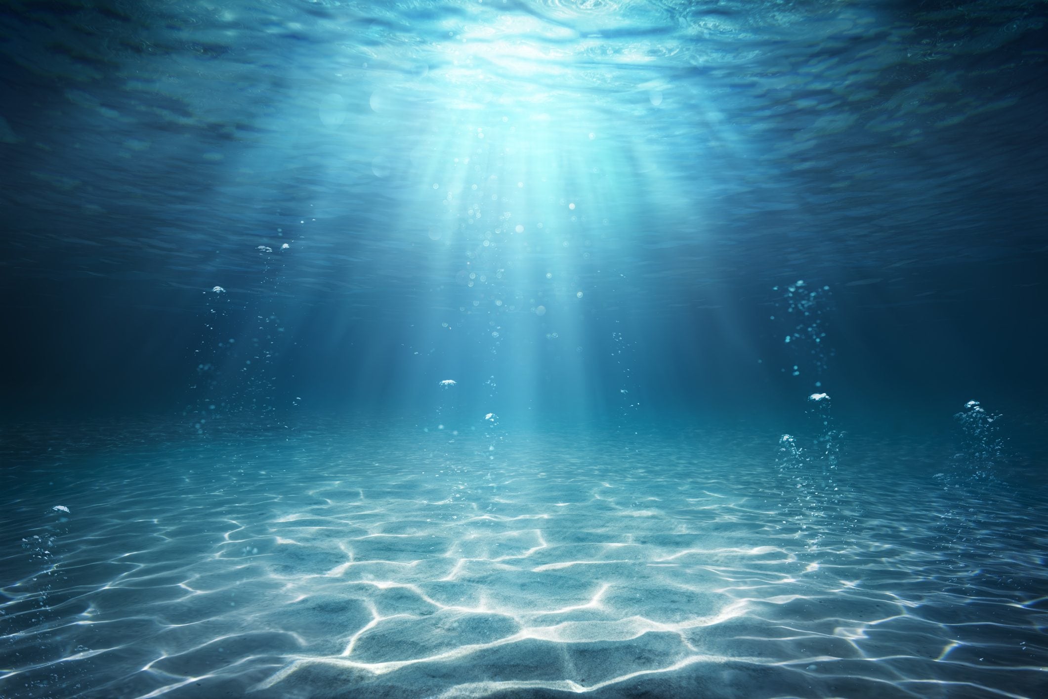 Scopri di più sull'articolo Scoperta una misteriosa sfera dorata sul fondo dell’oceano: è un uovo o una spugna?