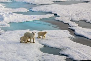 Scopri di più sull'articolo Il Polo Nord non ha più ghiaccio: la scoperta italiana di un gruppo di ricercatori