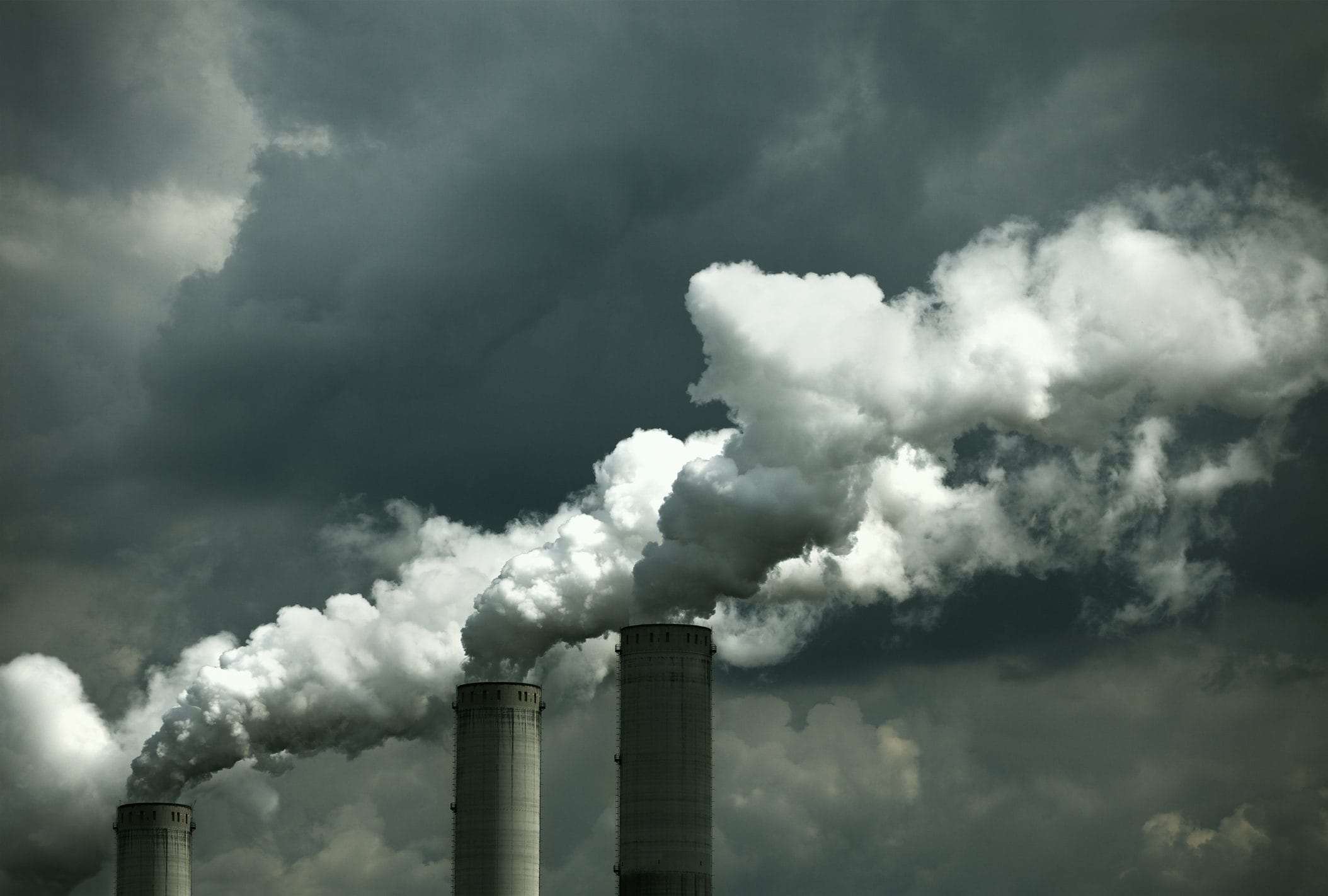 Scopri di più sull'articolo Ecocidio, nuova proposta di legge. Mehta (Stop Ecocide International): “Non demonizziamo, servirà da guida alle aziende”