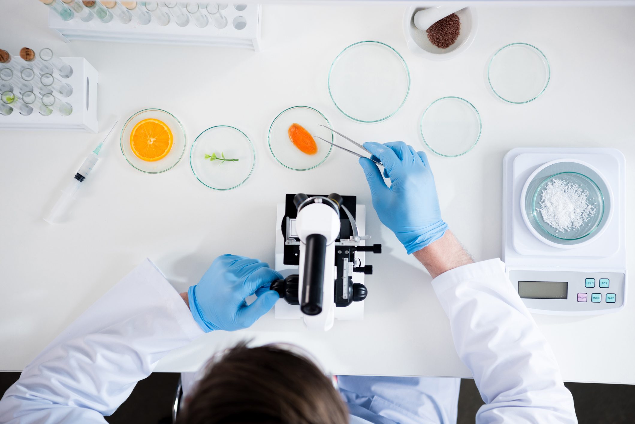 Scopri di più sull'articolo Frutta coltivata in laboratorio, ma senza parti di scarto: la strategia della Nuova Zelanda contro lo spreco alimentare