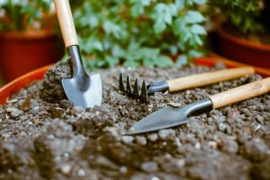 Scopri di più sull'articolo Gli 8 attrezzi essenziali da procurarti se stai iniziando a fare giardinaggio