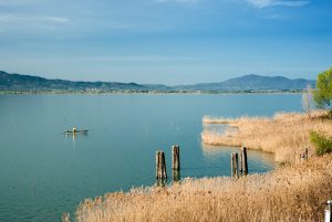 Scopri di più sull'articolo Microplastiche nei laghi italiani: il 98% dei campioni sono contaminati