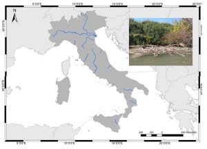 Scopri di più sull'articolo Down to the river in 12 fiumi italiani, il 35% circa dei rifiuti sono di plastica monouso