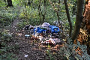 Scopri di più sull'articolo ”Plastica, vetro, sigarette e molto altro invadono parchi e fiumi urbani”: ecco i dati dell’indagine “Park e River Litter” di Legambiente