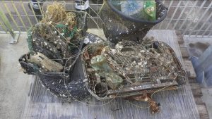 Scopri di più sull'articolo Oltre 3 tonnellate  di rifiuti raccolti in mare in Puglia e in Veneto