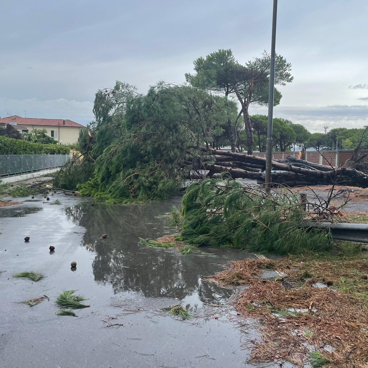 Scopri di più sull'articolo Danni del downburst a Carrara: liquidati dal Comune contributi per oltre 300mila euro