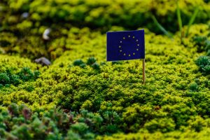 Scopri di più sull'articolo Via libera del Consiglio Europeo al pacchetto Fit for 55: ecco cosa prevede la legge green