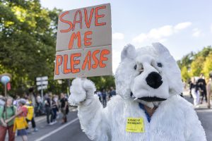 Scopri di più sull'articolo Global Strike 2023, è resistenza climatica: il 6 ottobre i cortei dei Fridays tornano nelle piazze di tutta Italia
