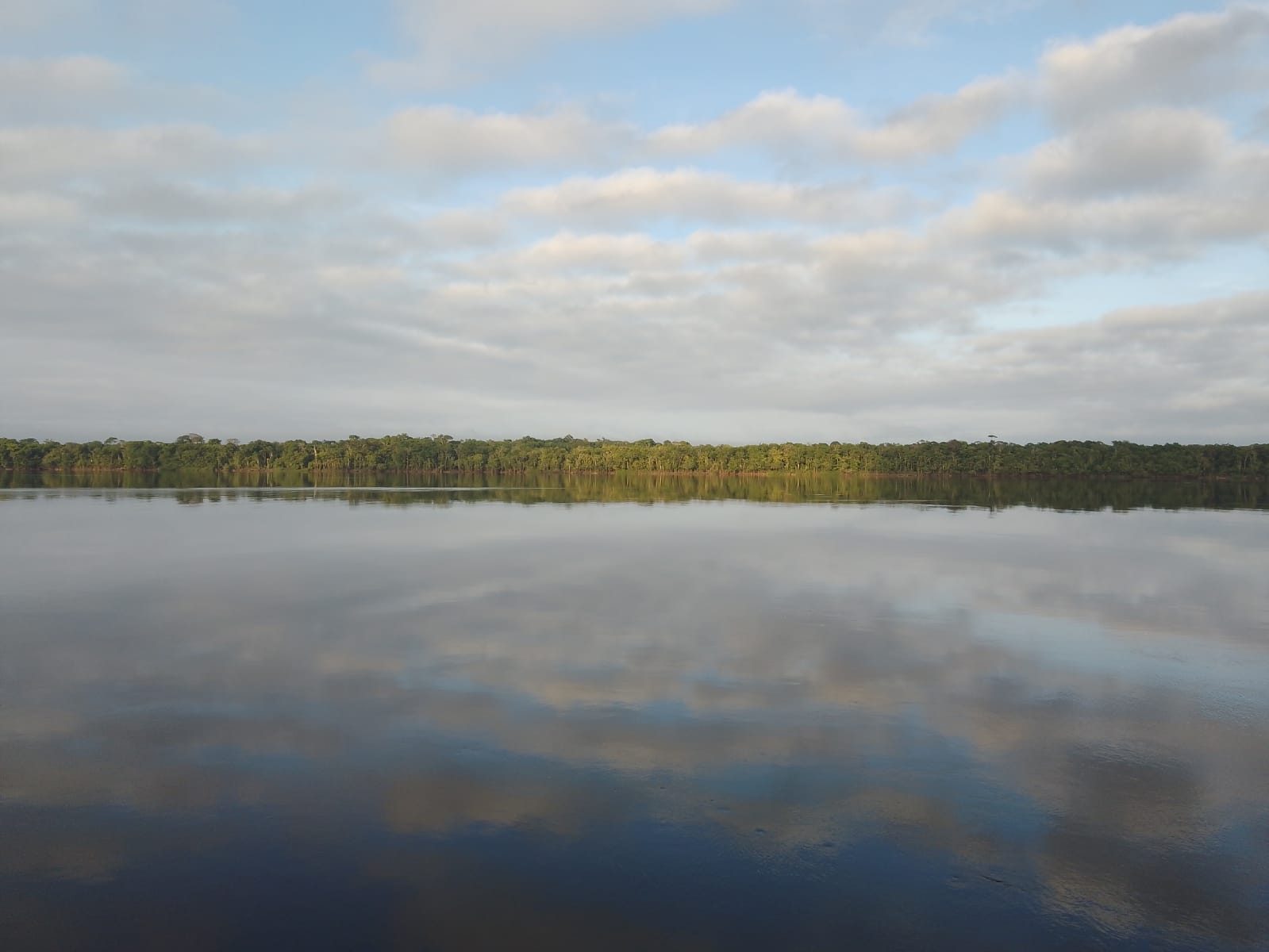 Scopri di più sull'articolo Uno sguardo “senza filtri” sul presente dell’Amazzonia: il racconto del sociologo Turina in diretta da Amazonas