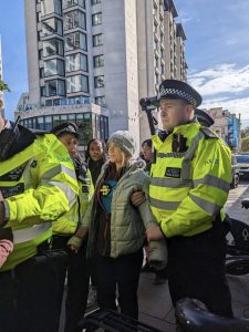 Scopri di più sull'articolo Greta Thunberg arrestata a Londra durante una manifestazione: cosa succede