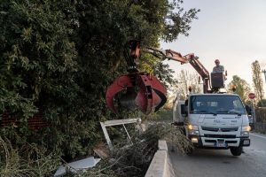 Scopri di più sull'articolo Maxi operazione pulizia al Poderaccio, via oltre 56 tonnellate di rifiuti abbandonati