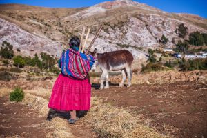 Scopri di più sull'articolo La siccità sta devastando la Bolivia: dichiarato lo stato di calamità in più di 100 comuni