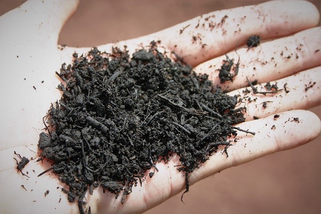 Scopri di più sull'articolo Rifiuti organici: in Italia nel 2021 ottenuti 2,1 milioni di tonnellate di compost