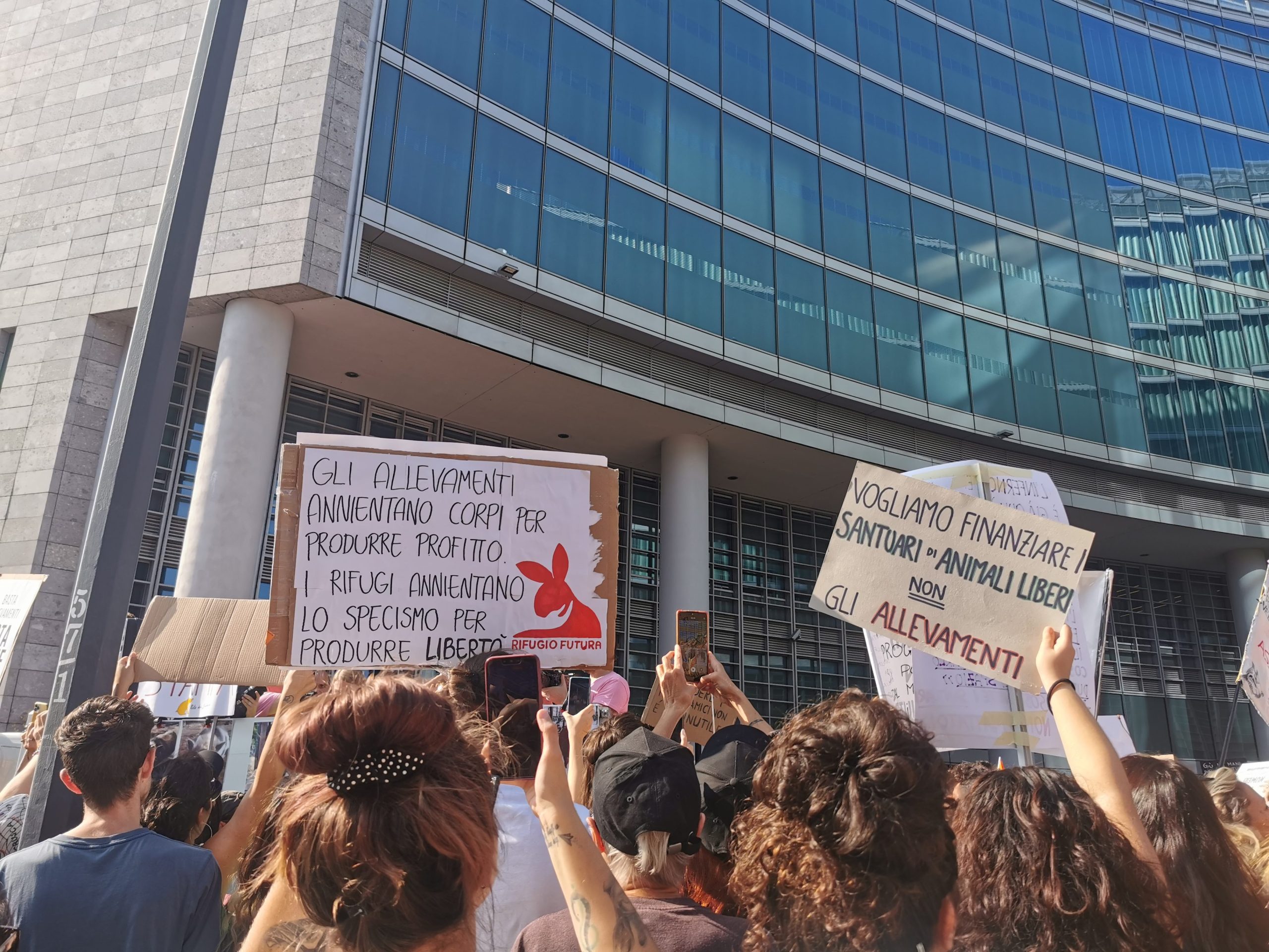 Scopri di più sull'articolo 10mila persone a Milano contro l’uccisione dei maiali di Cuori Liberi. Gli attivisti: “In piazza per Pumba, Bartolomeo e Dorothy”