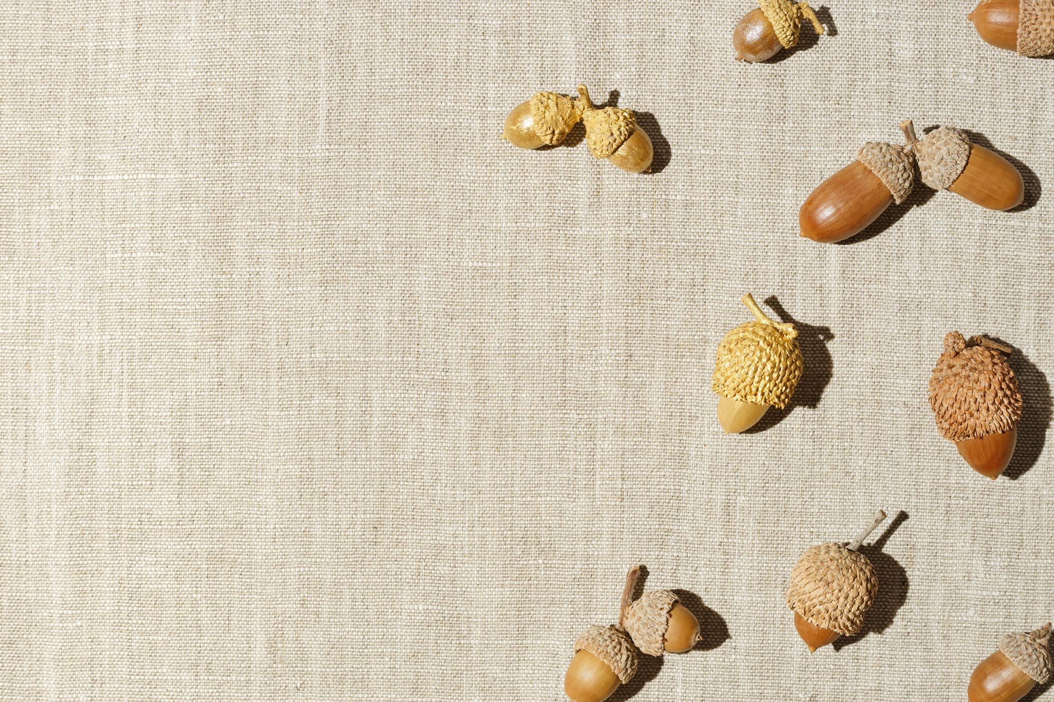Scopri di più sull'articolo Dipingi e decora con le ghiande in autunno: ecco come usarle