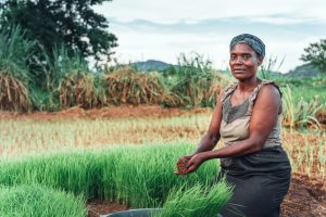 Scopri di più sull'articolo Perché il clima colpisce prima le donne?