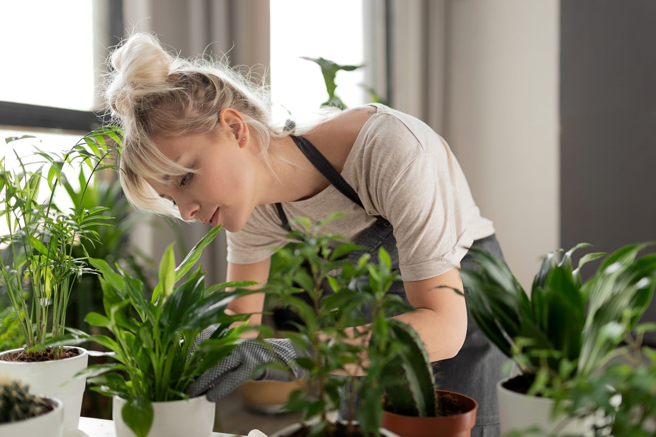 Scopri di più sull'articolo Come realizzare un giardino d’inverno all’interno della tua casa
