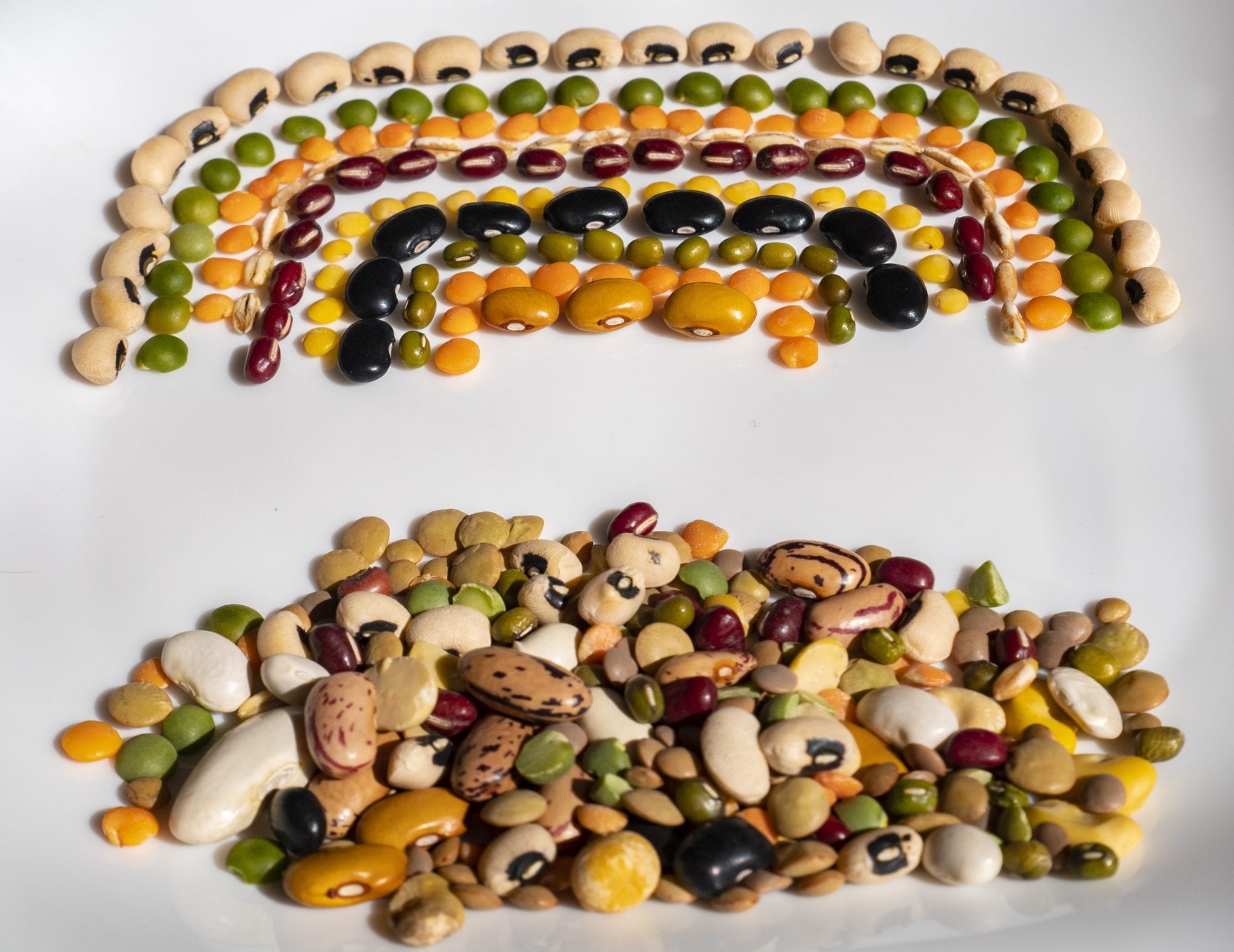Scopri di più sull'articolo I mosaici d’autunno con i legumi secchi: un lavoretto